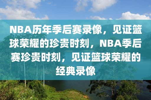 NBA历年季后赛录像，见证篮球荣耀的珍贵时刻，NBA季后赛珍贵时刻，见证篮球荣耀的经典录像