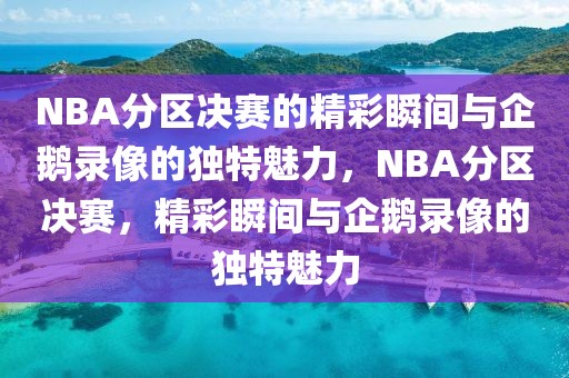 NBA分区决赛的精彩瞬间与企鹅录像的独特魅力，NBA分区决赛，精彩瞬间与企鹅录像的独特魅力