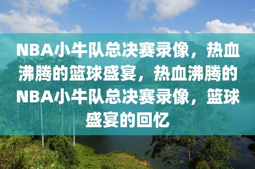 NBA小牛队总决赛录像，热血沸腾的篮球盛宴，热血沸腾的NBA小牛队总决赛录像，篮球盛宴的回忆