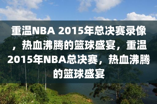 重温NBA 2015年总决赛录像，热血沸腾的篮球盛宴，重温2015年NBA总决赛，热血沸腾的篮球盛宴