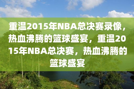 重温2015年NBA总决赛录像，热血沸腾的篮球盛宴，重温2015年NBA总决赛，热血沸腾的篮球盛宴