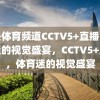 中央体育频道CCTV5+直播，体育迷的视觉盛宴，CCTV5+直播，体育迷的视觉盛宴