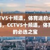 CCTV5十频道，体育迷的必备选择，CCTV5十频道，体育迷的必选之宝