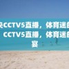 中央CCTV5直播，体育迷的盛宴，CCTV5直播，体育迷的盛宴