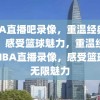 NBA直播吧录像，重温经典比赛，感受篮球魅力，重温经典，NBA直播录像，感受篮球的无限魅力